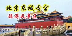 性视频地址中国北京-东城古宫旅游风景区